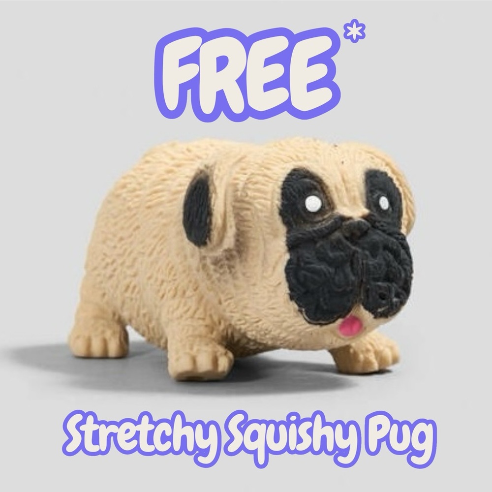 FREE GIFT w/ Purchase $25*/$50** Stretchy Squishy Pug Toy